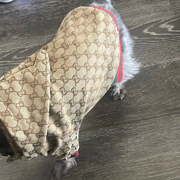 Mini Dog Jacket 🤎 - Picture 5 of 6